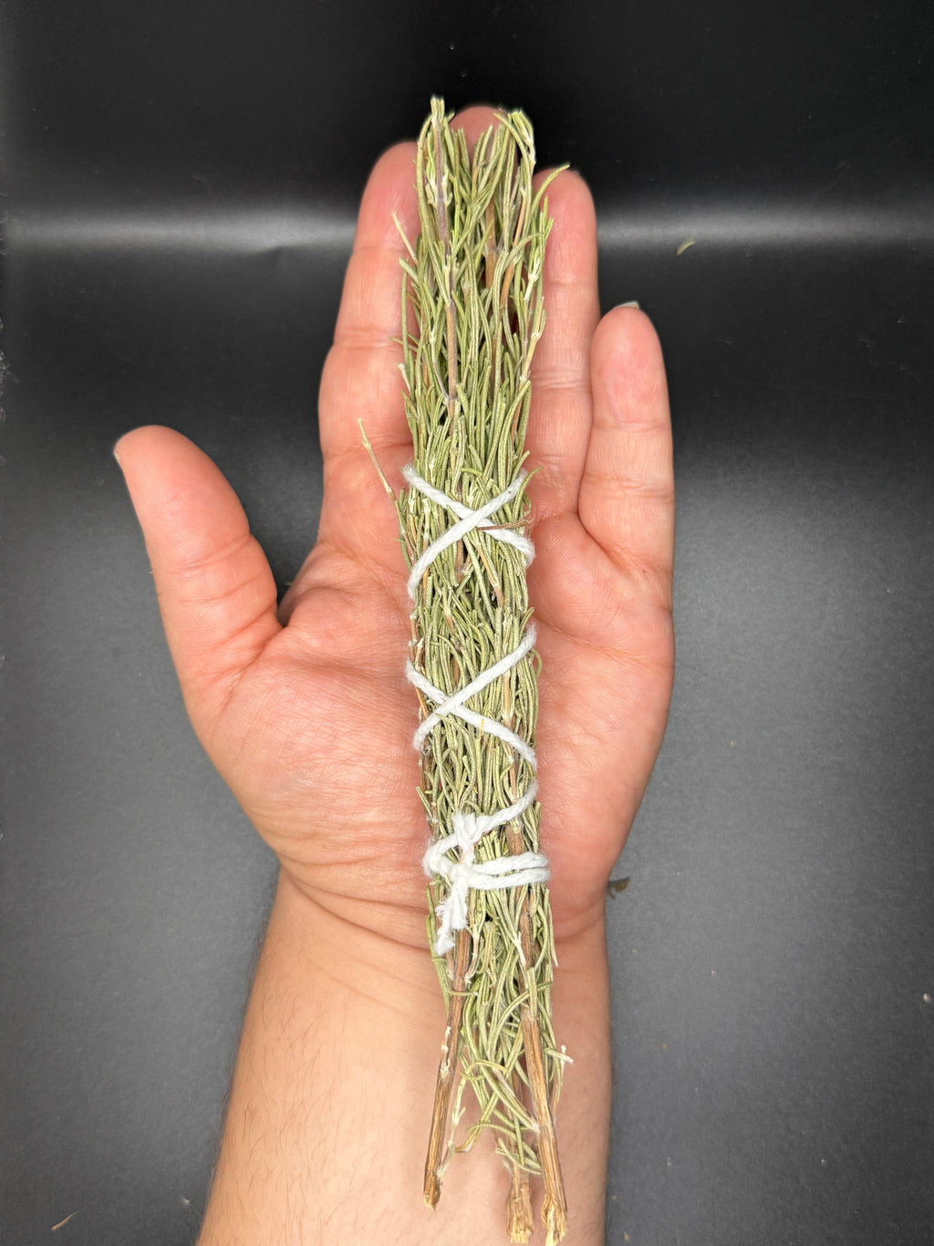 Rosemary (4inch & 6inch)