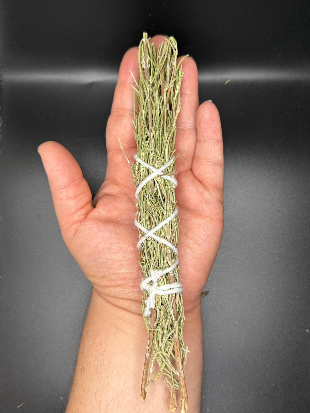 Rosemary (4inch & 6inch)