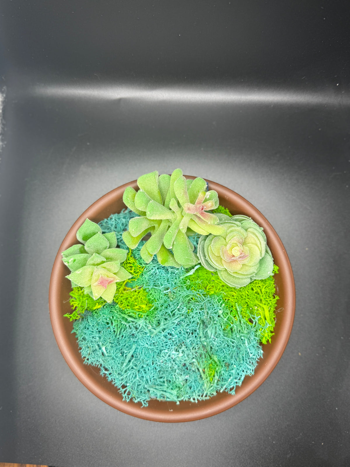 Crystal intention garden  ￼