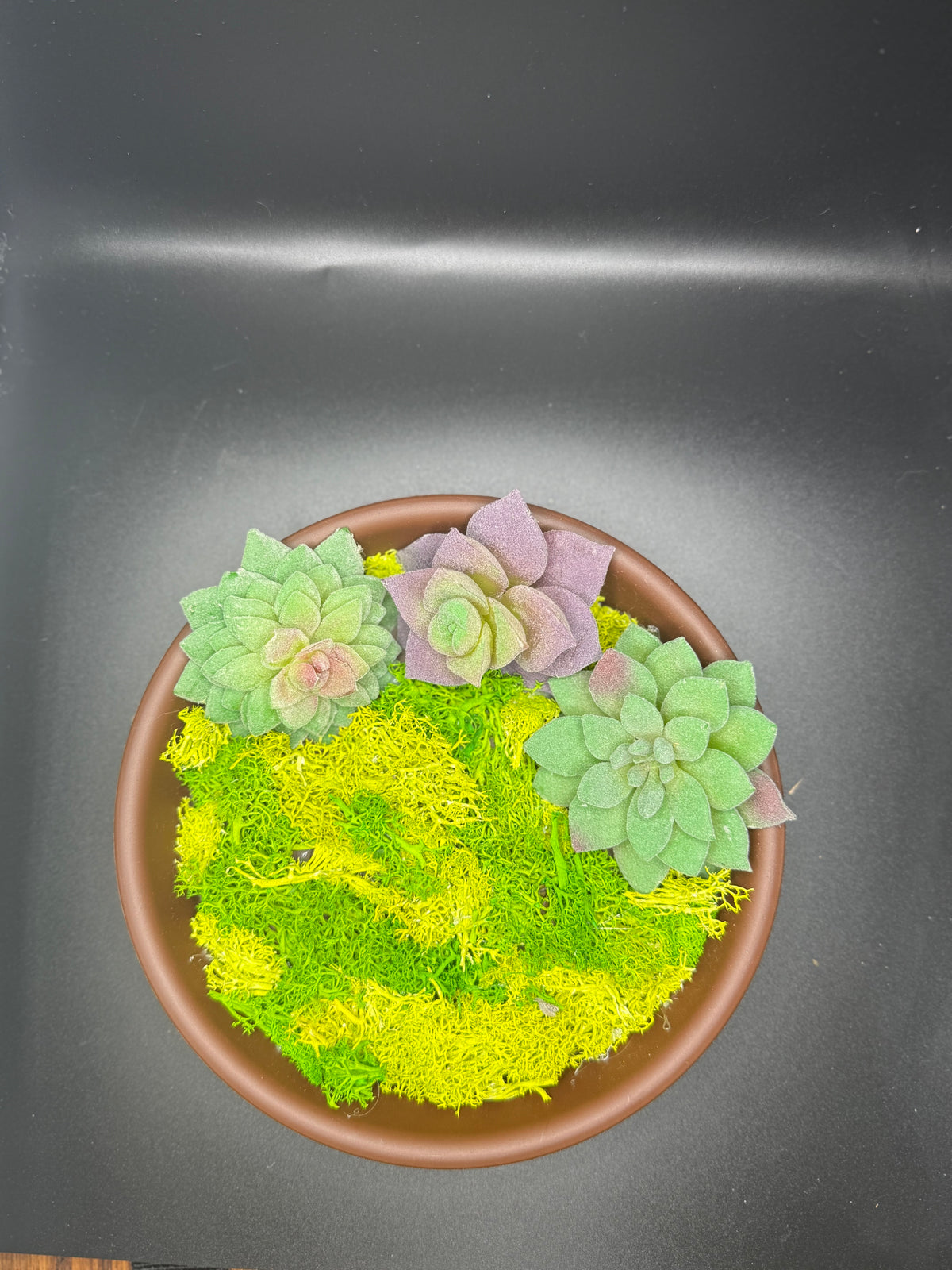 Crystal intention garden  ￼