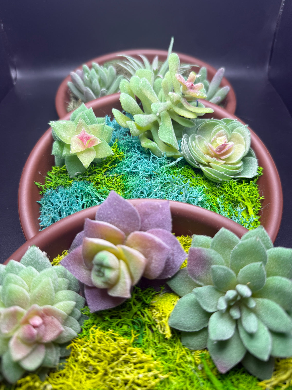 Crystal intention garden  ￼